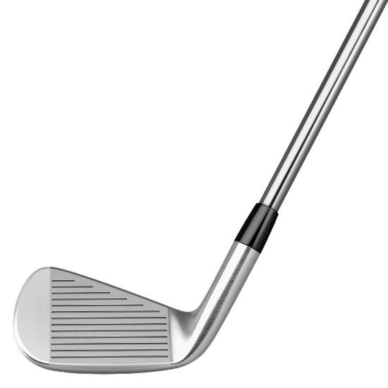 Picture of TaylorMade P760 Irons