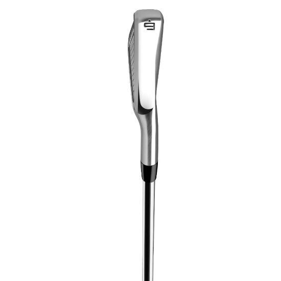Picture of TaylorMade P760 Irons