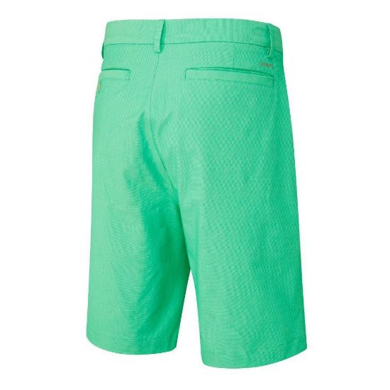Picture of PING Ashcroft Mens Golf Shorts