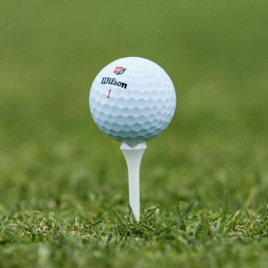 Picture of Wilson Staff DUO Soft Plus Golf Balls