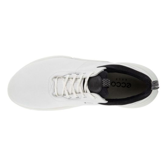 Picture of ECCO Men's Biom H4 EVR Golf Shoes
