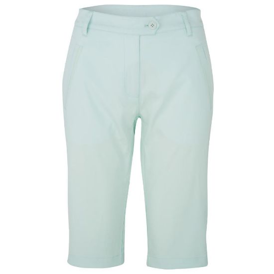 Picture of Swing Out Sister Fleur Drifit Golf Shorts - Neon Mint