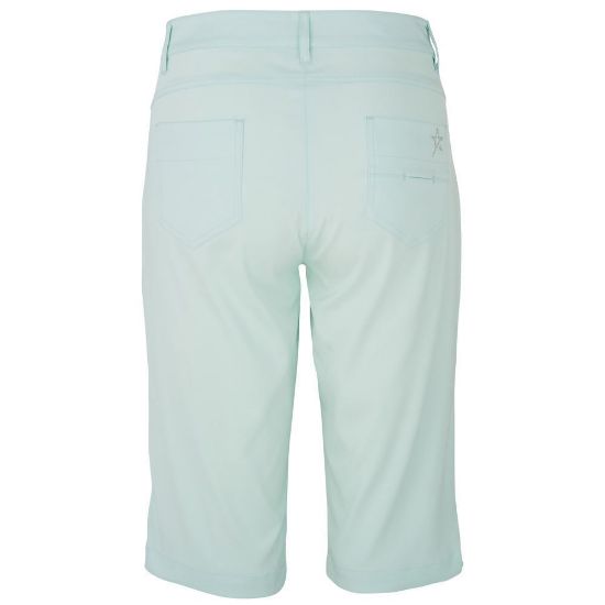 Picture of Swing Out Sister Fleur Drifit Golf Shorts - Neon Mint